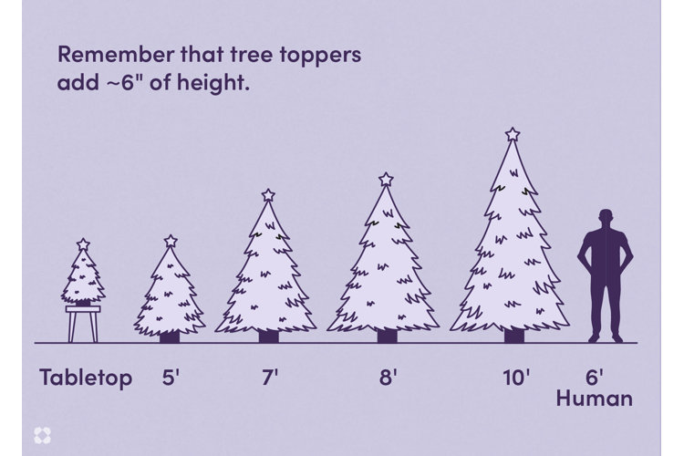 Your Guide to Christmas Tree Sizes | Wayfair